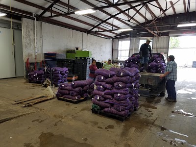 Acadia Crawfish CO