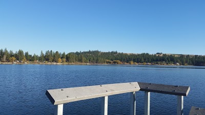 Picnic Pines On Silver Lake