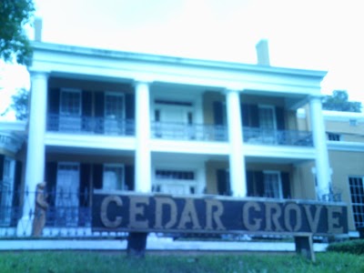 Cedar Grove Mansion Inn